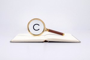 沈阳三蠹虫诈骗案
